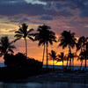 Sunset Beach Palms Image